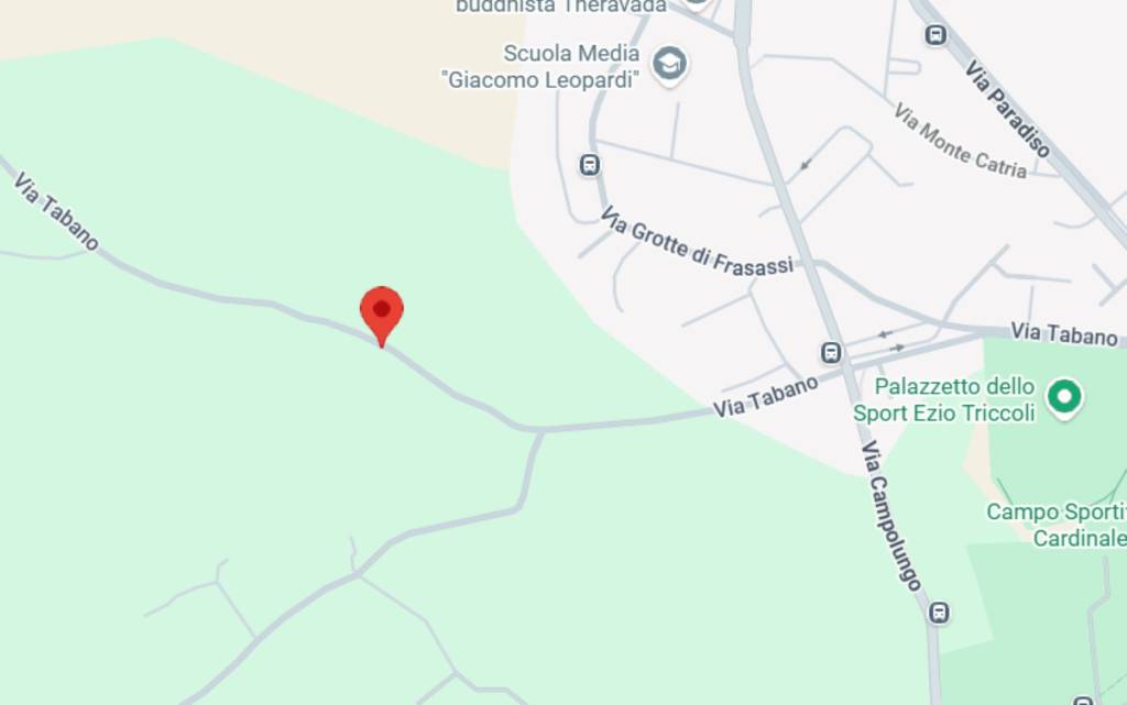 immagine annuncio 9 di 10