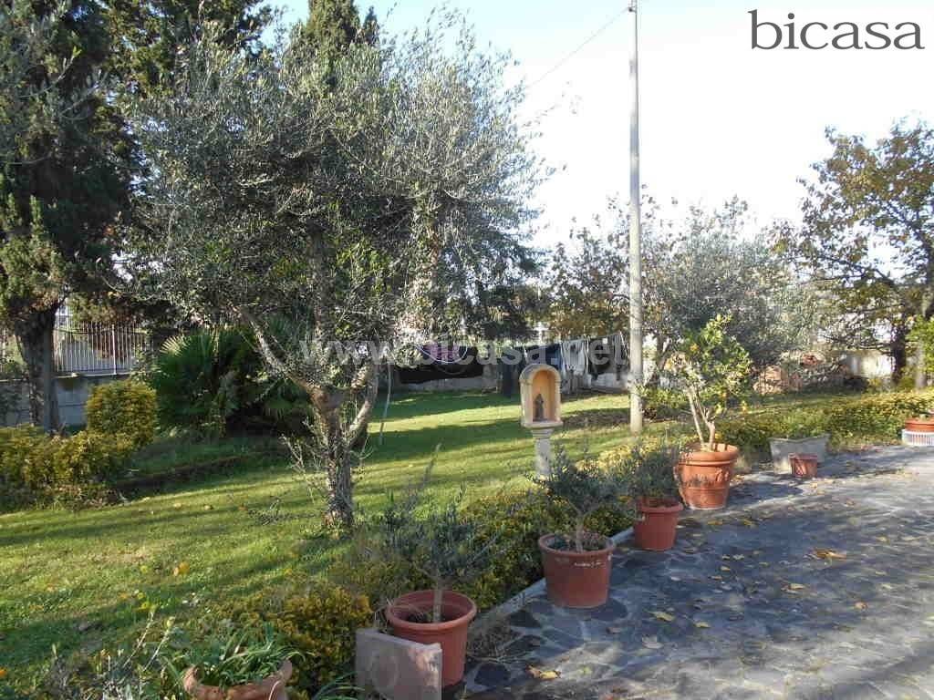 immagine annuncio 6 di 14