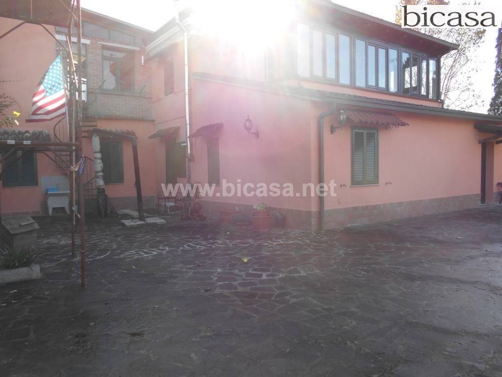 immagine annuncio 12 di 14