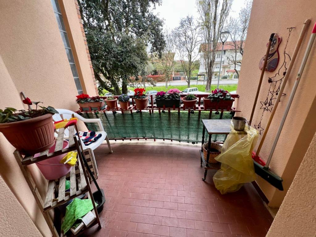 immagine annuncio 9 di 14