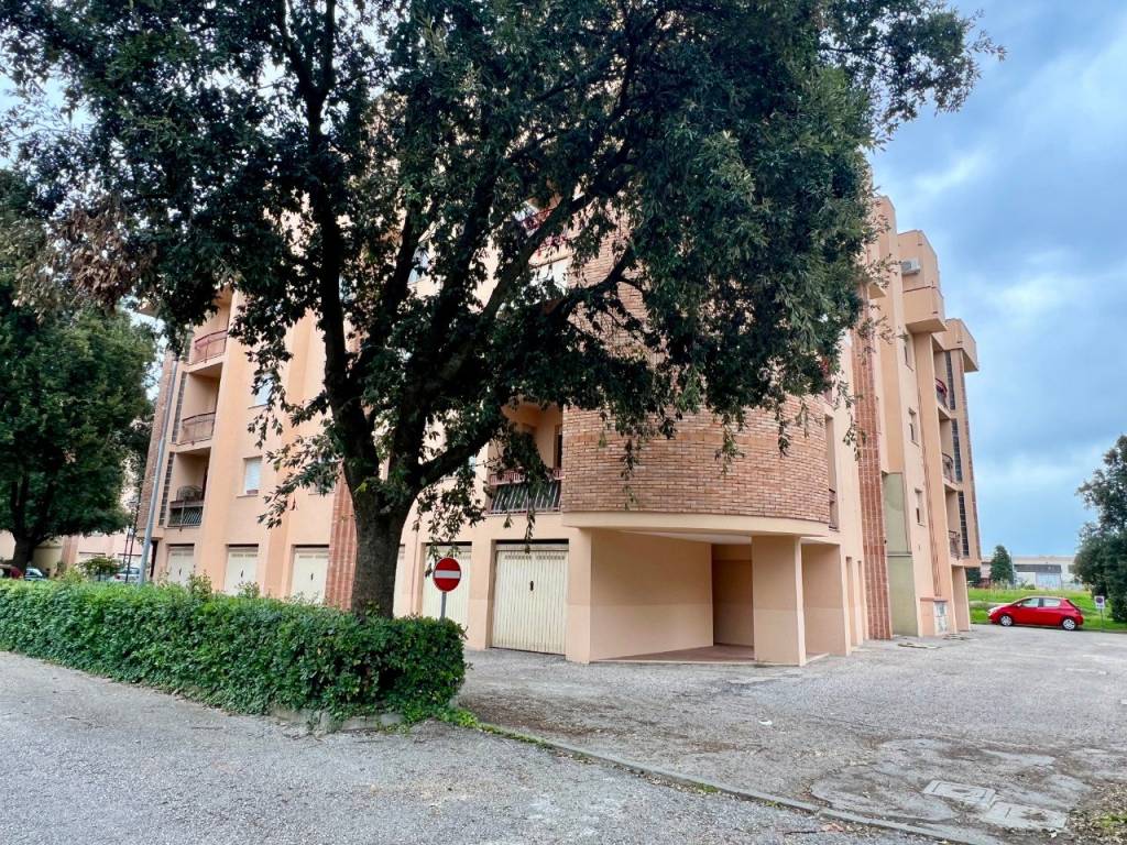 immagine annuncio 11 di 14