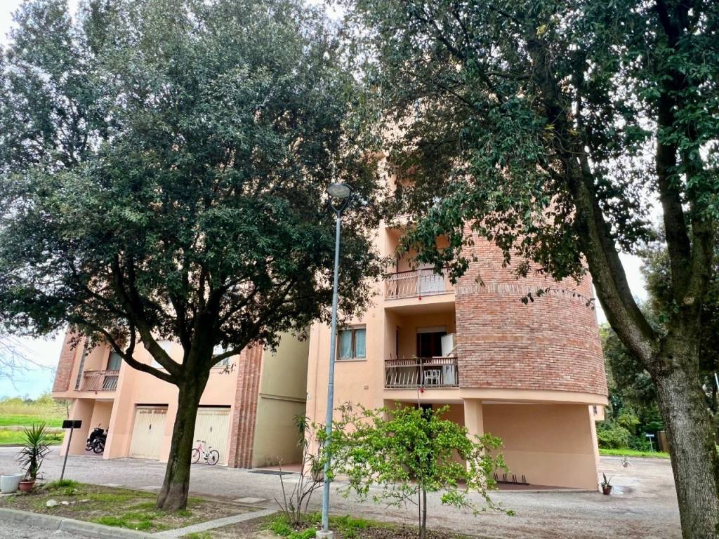 immagine annuncio 13 di 14