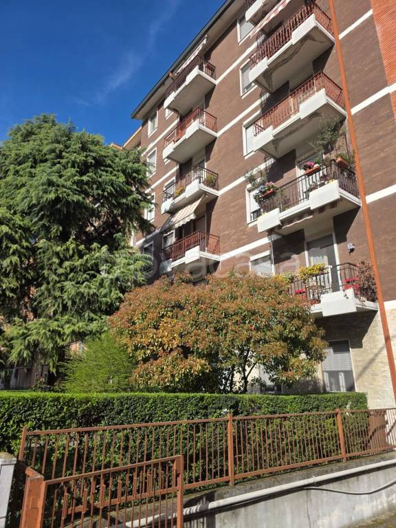 immagine annuncio 12 di 14