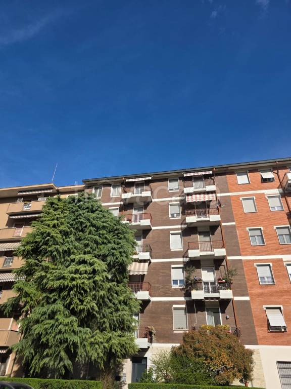 immagine annuncio 13 di 14