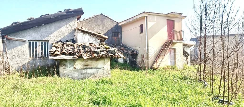 immagine annuncio 1 di 7