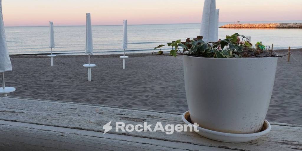 immagine annuncio 2 di 14