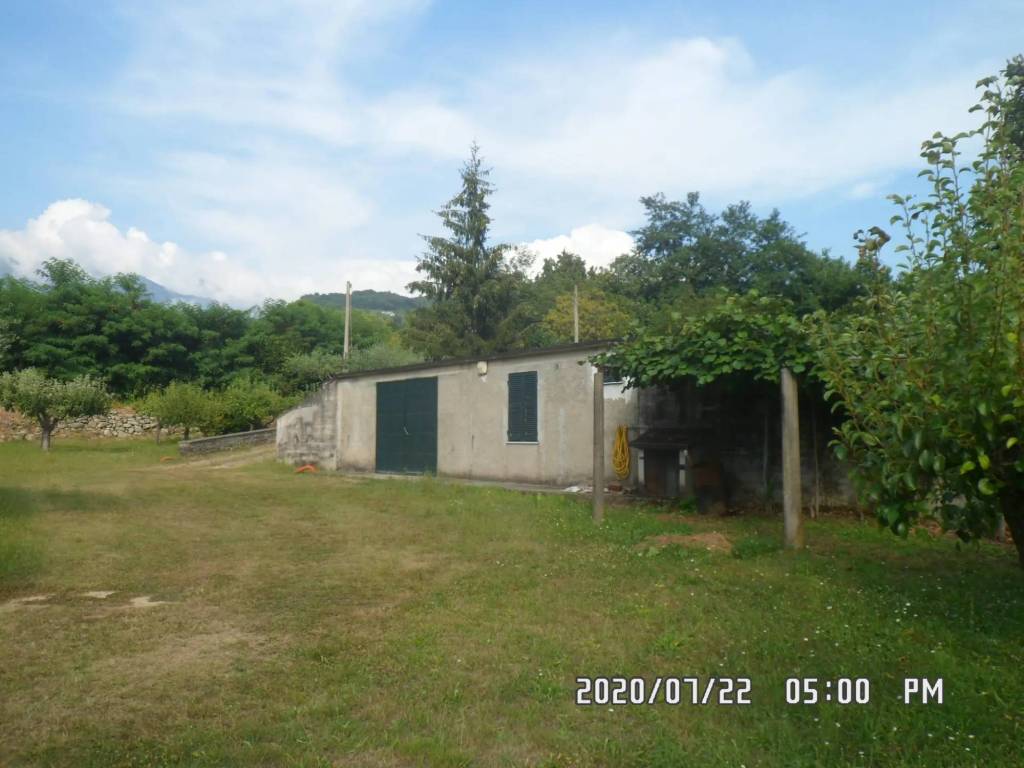 immagine annuncio 2 di 10
