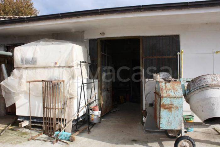 immagine annuncio 11 di 15