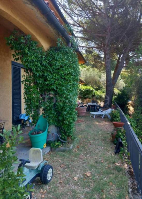 immagine annuncio 11 di 15