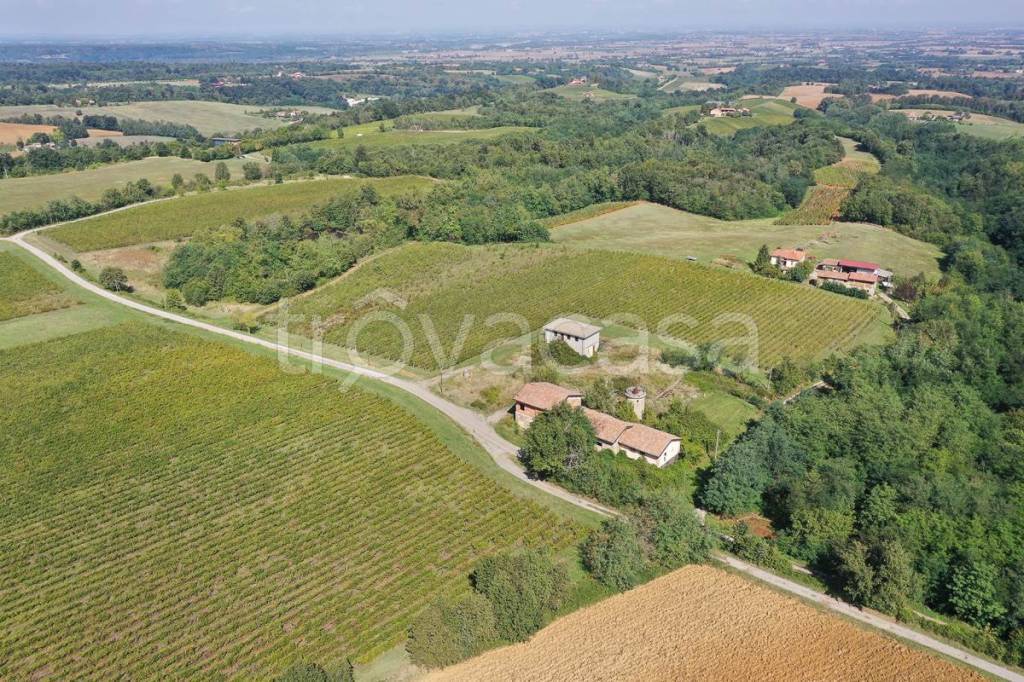 immagine annuncio 6 di 13