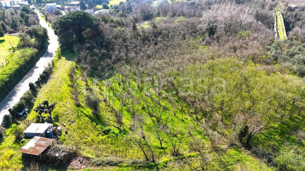 immagine annuncio 1 di 6