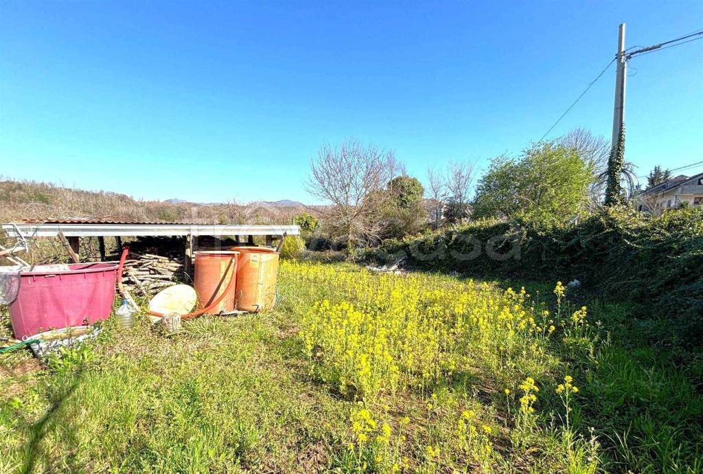 immagine annuncio 3 di 6