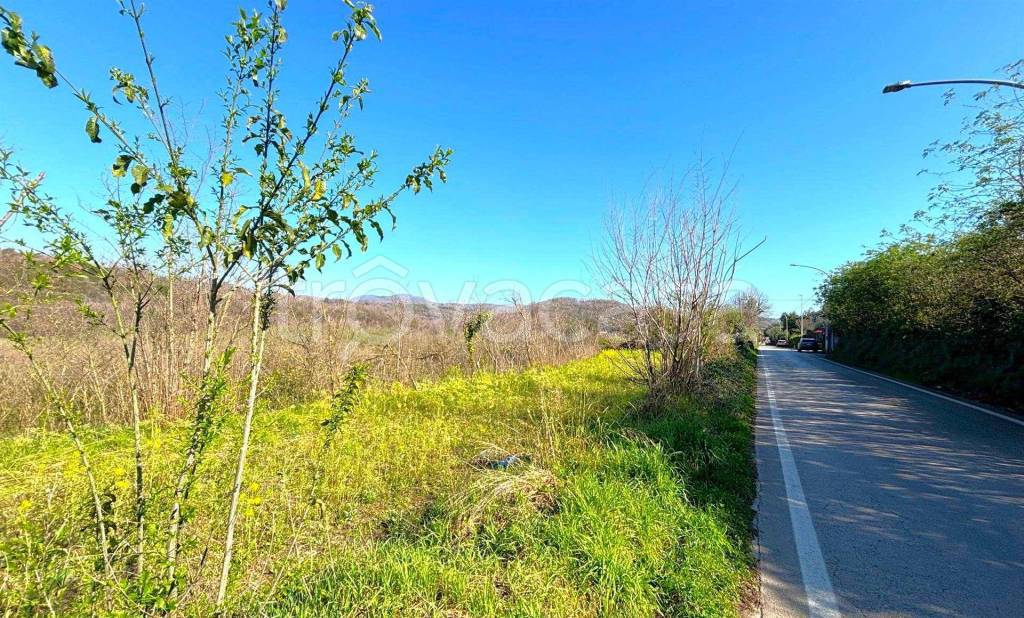 immagine annuncio 5 di 6