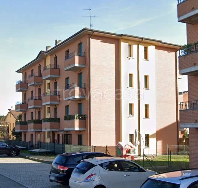 immagine annuncio 11 di 15