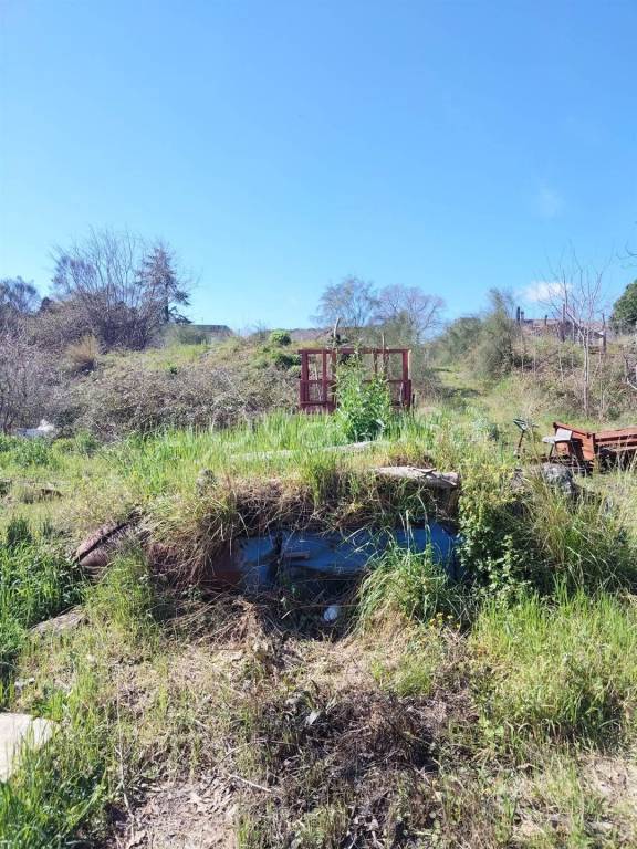 immagine annuncio 9 di 13