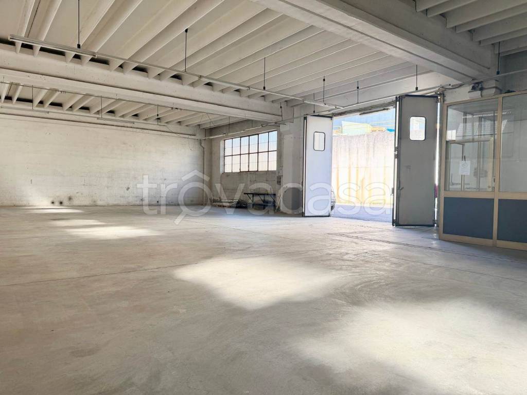 immagine annuncio 1 di 11