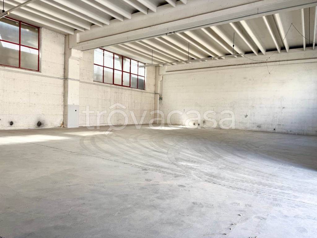 immagine annuncio 2 di 11