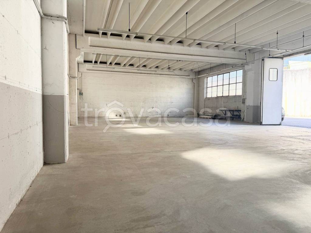 immagine annuncio 3 di 11