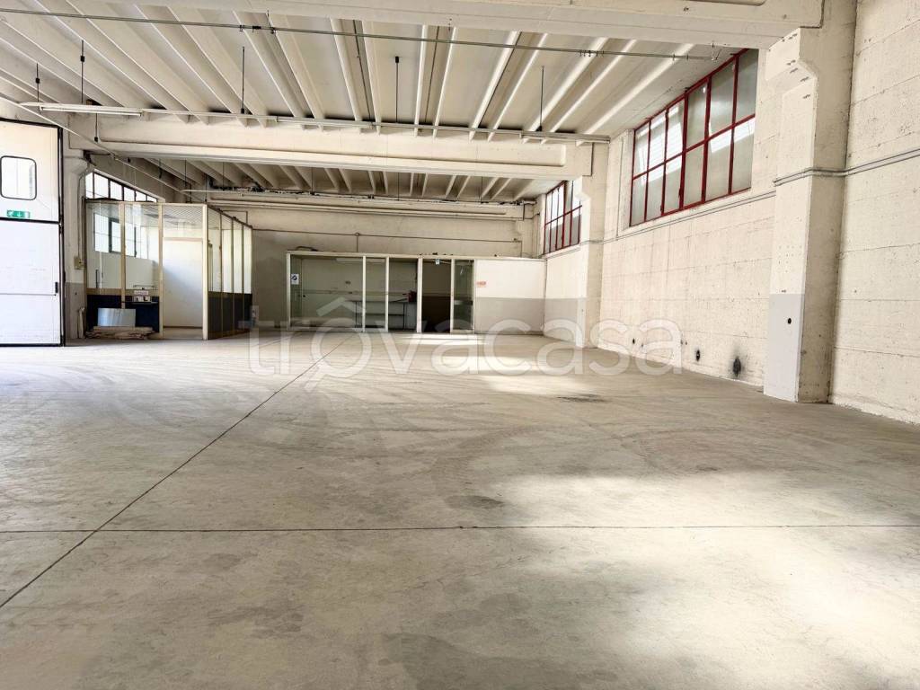 immagine annuncio 5 di 11