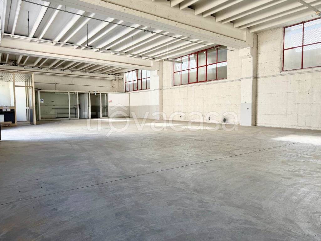 immagine annuncio 6 di 11