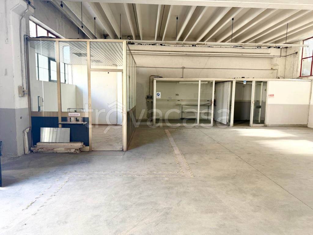 immagine annuncio 7 di 11