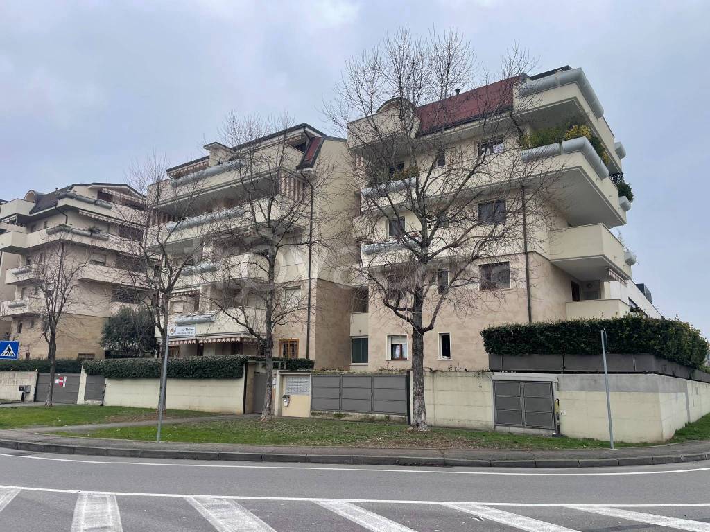 immagine annuncio 1 di 14