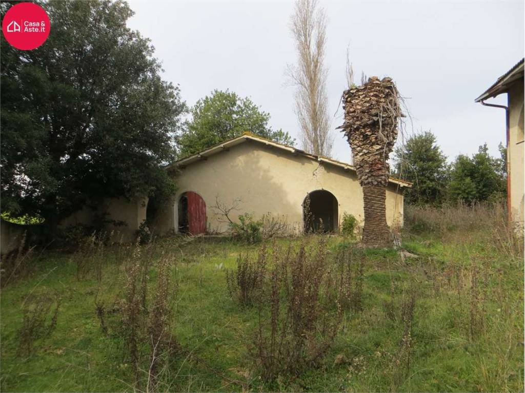 immagine annuncio 2 di 9