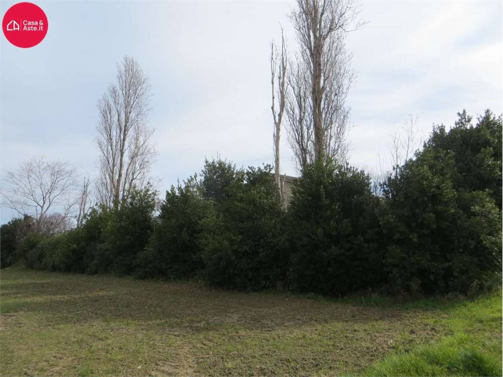 immagine annuncio 6 di 9