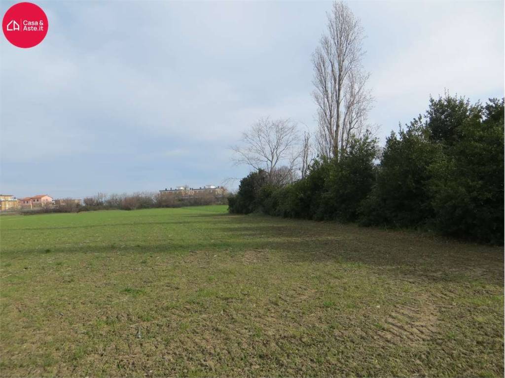 immagine annuncio 7 di 9