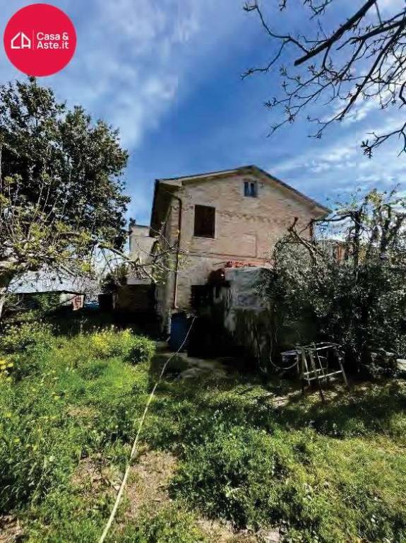 immagine annuncio 3 di 14