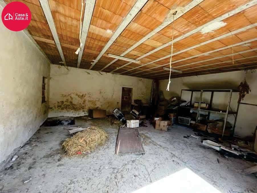 immagine annuncio 5 di 14