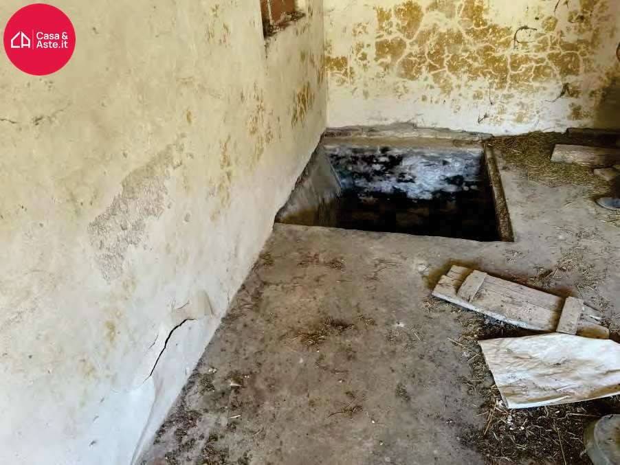 immagine annuncio 6 di 14