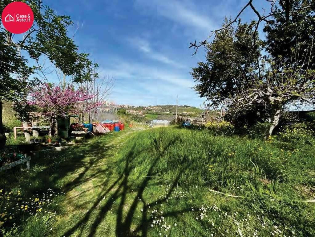 immagine annuncio 13 di 14