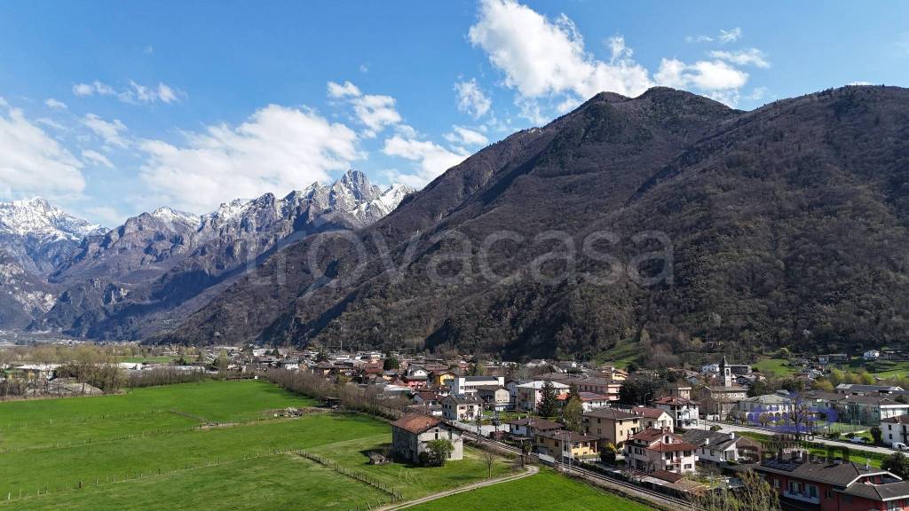 immagine annuncio 12 di 14