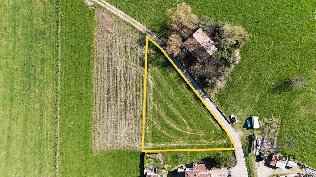 immagine annuncio 9 di 14