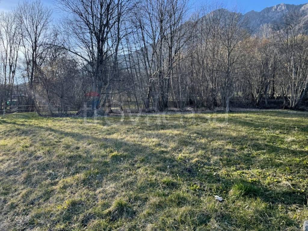 immagine annuncio 1 di 7