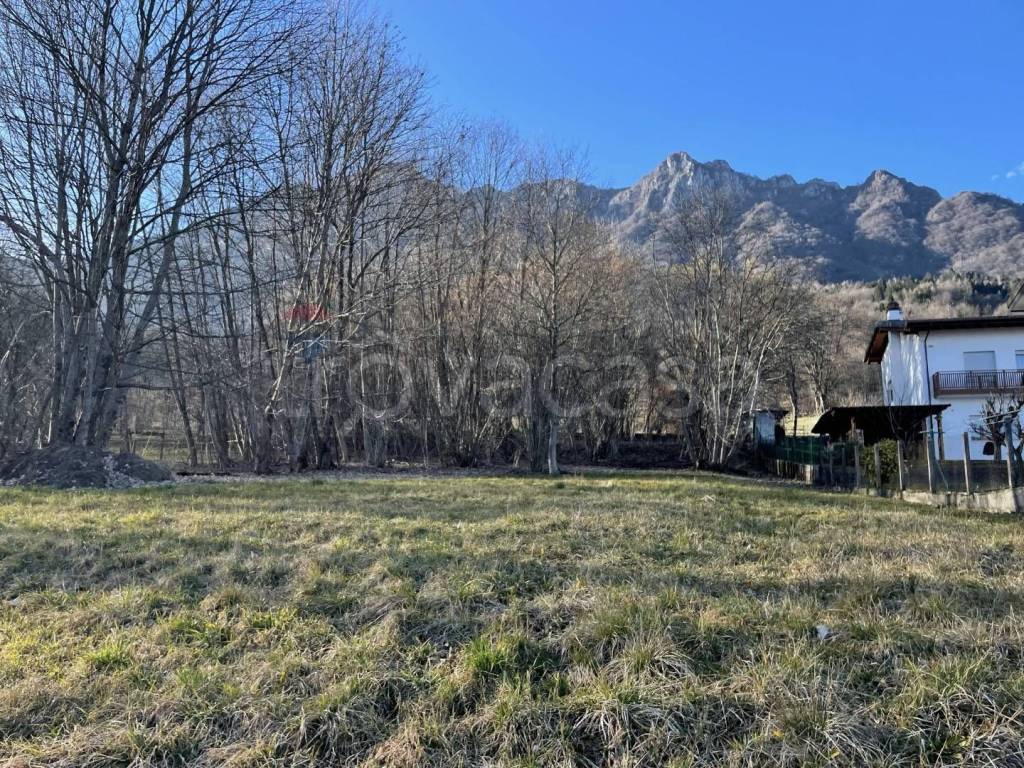 immagine annuncio 3 di 7