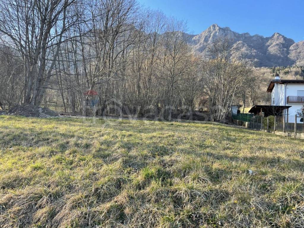 immagine annuncio 5 di 7