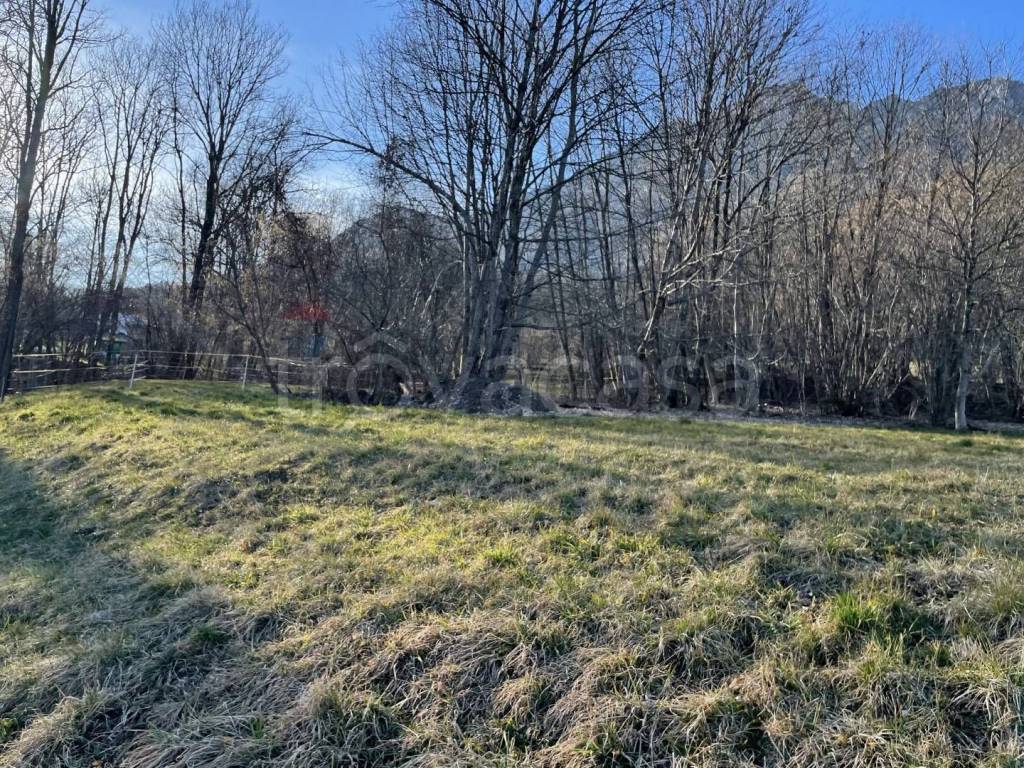 immagine annuncio 6 di 7