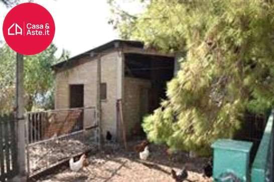 immagine annuncio 10 di 12