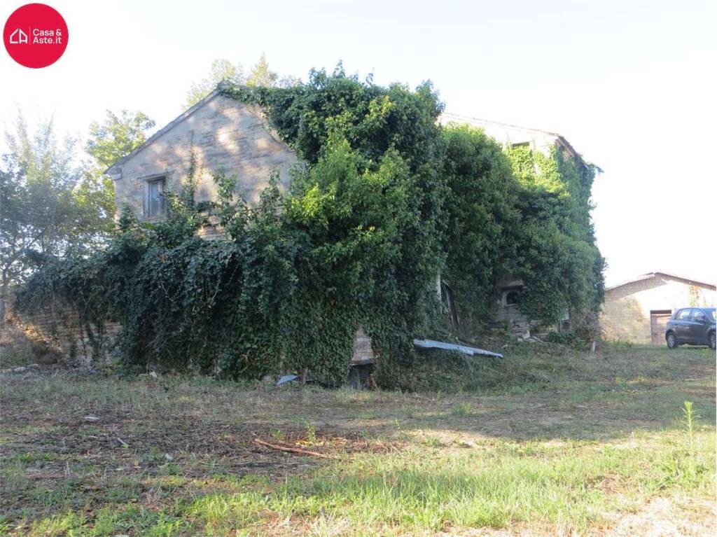 immagine annuncio 9 di 11