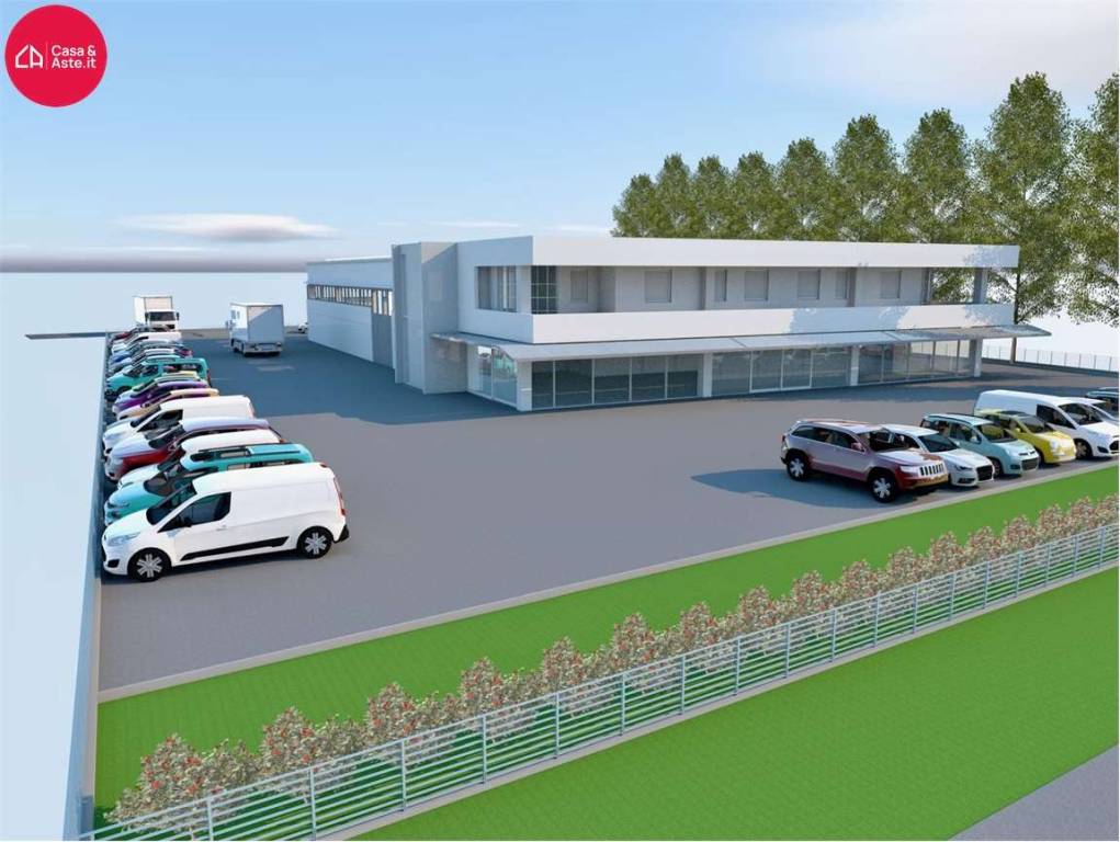 immagine annuncio 1 di 10