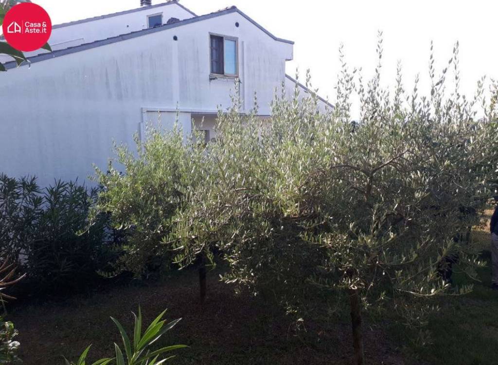 immagine annuncio 5 di 15