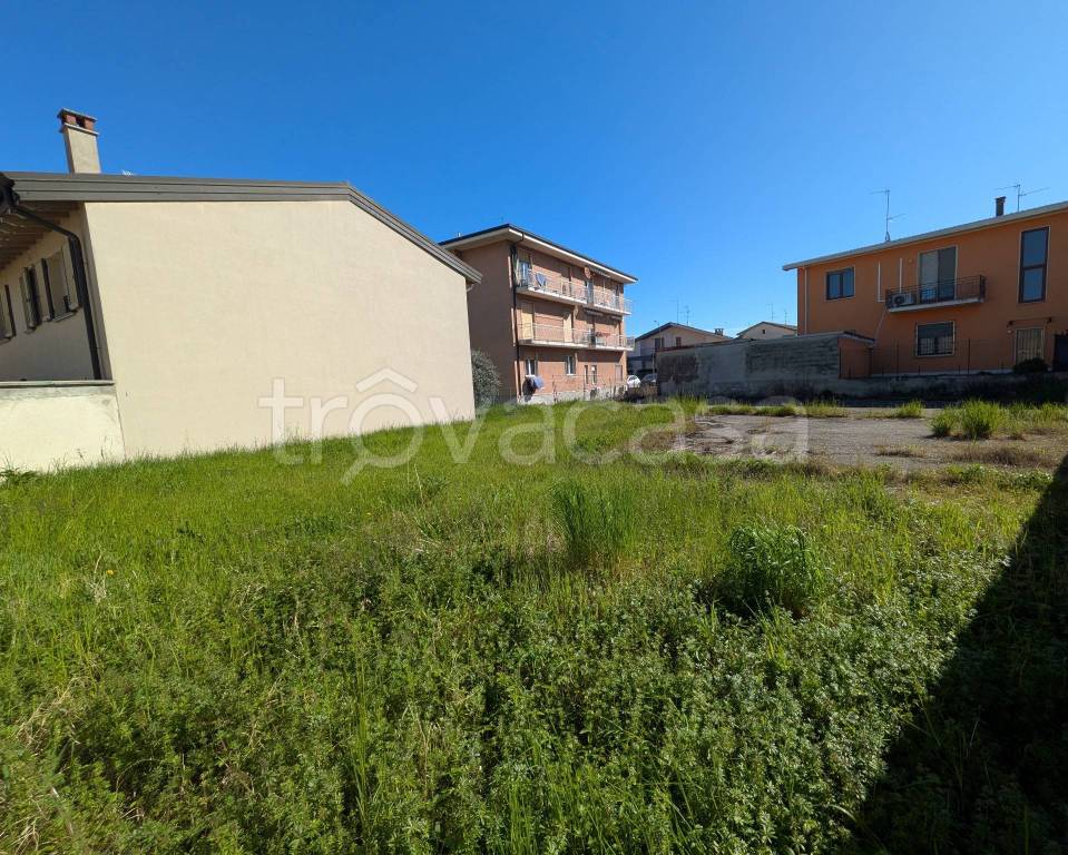 immagine annuncio 3 di 10