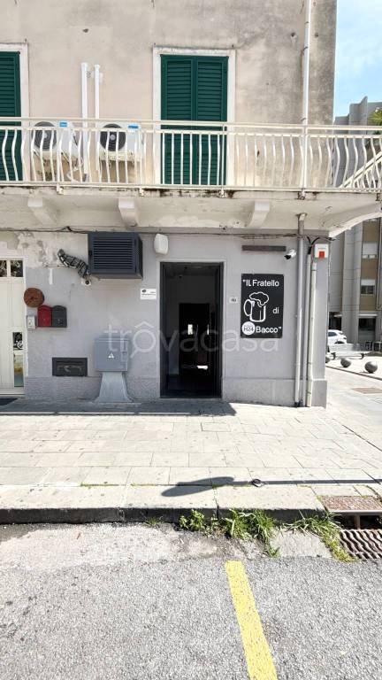 immagine annuncio 3 di 14