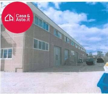 immagine annuncio 2 di 6