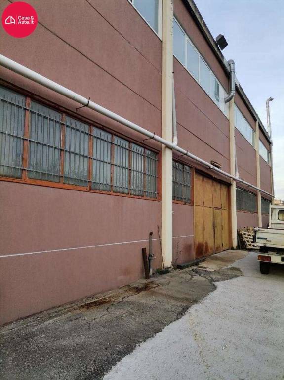 immagine annuncio 9 di 15