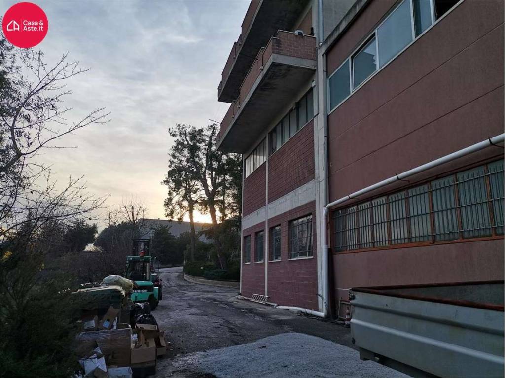 immagine annuncio 10 di 15