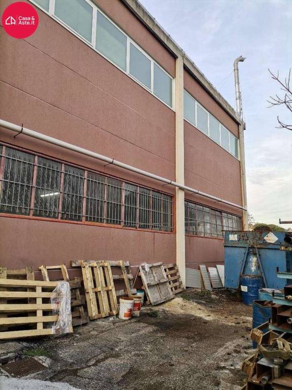 immagine annuncio 11 di 15