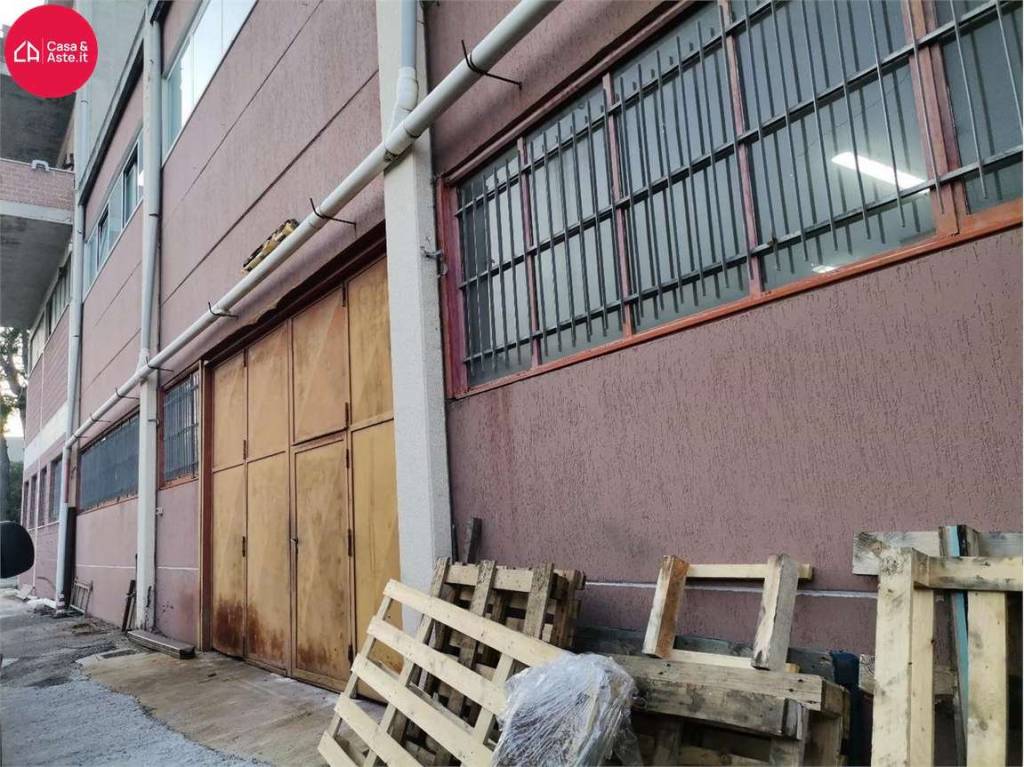 immagine annuncio 12 di 15